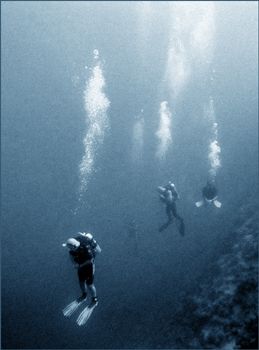 Red Sea, Nikonos V, available light by Mark Terry 